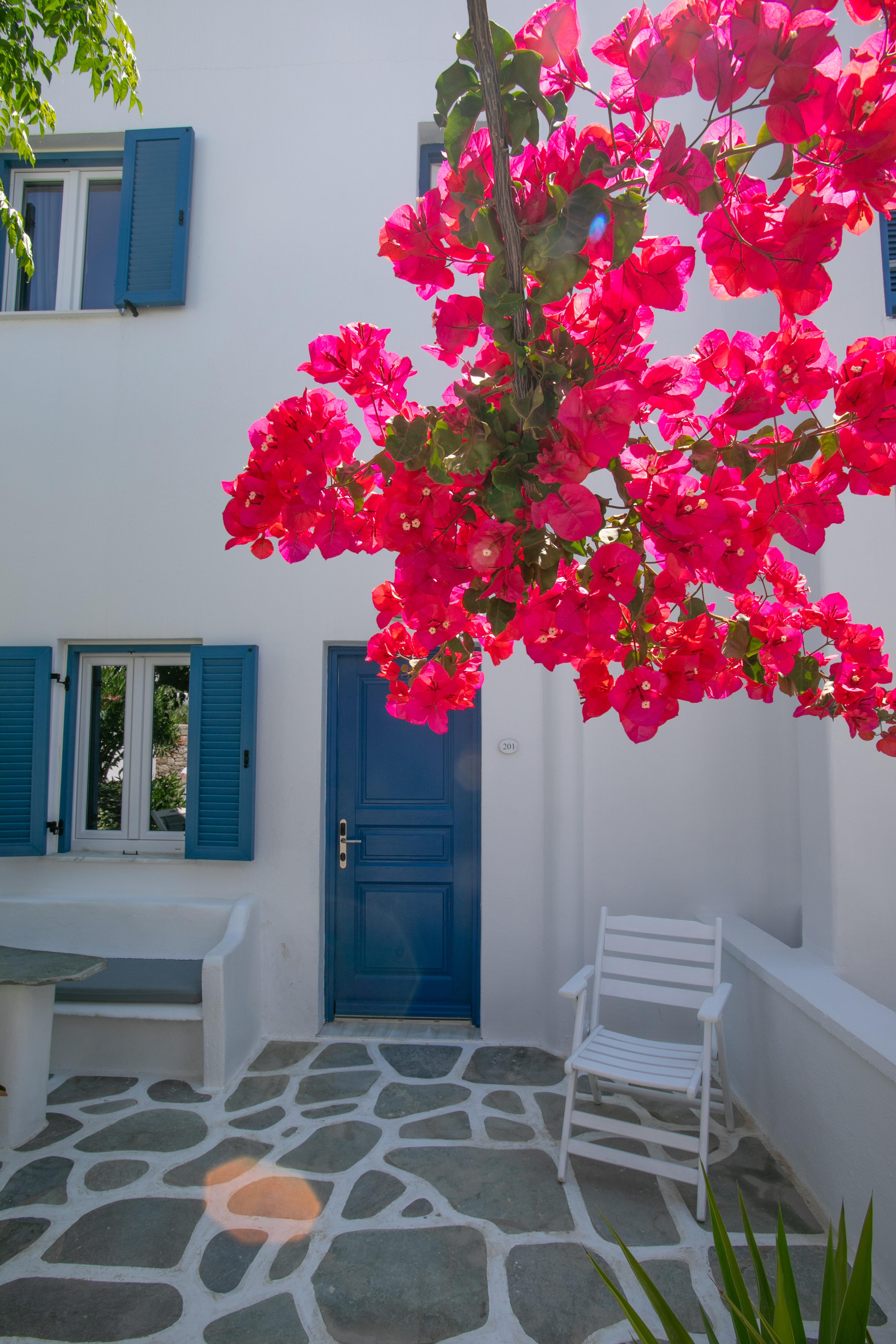 Acrogiali Beachfront Hotel Mykonos Platys Gialos  Exteriör bild