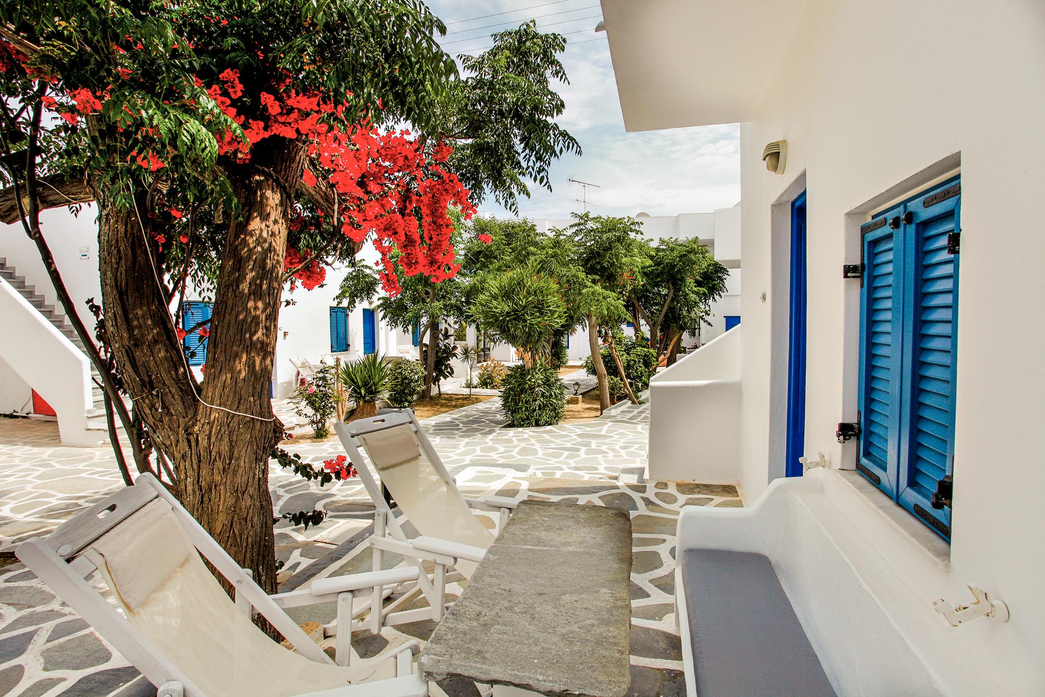 Acrogiali Beachfront Hotel Mykonos Platys Gialos  Exteriör bild