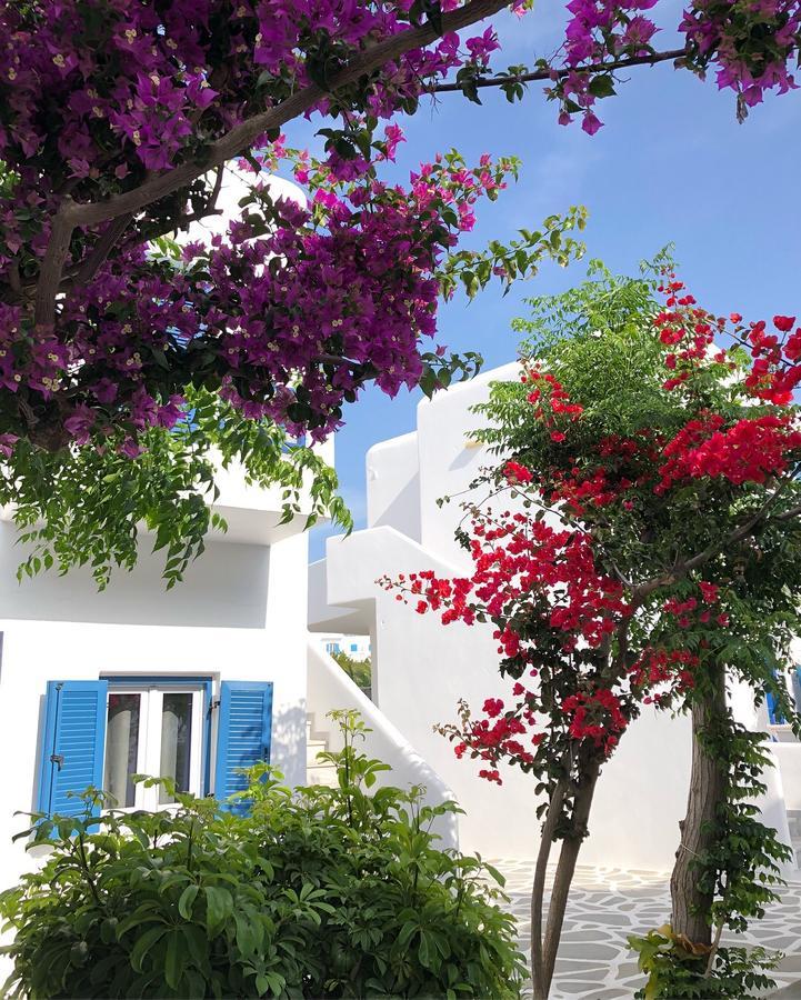 Acrogiali Beachfront Hotel Mykonos Platys Gialos  Exteriör bild