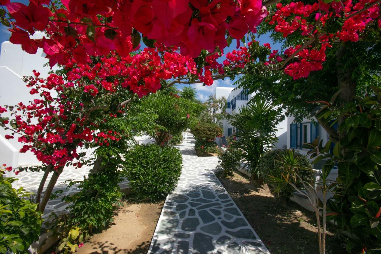Acrogiali Beachfront Hotel Mykonos Platys Gialos  Exteriör bild